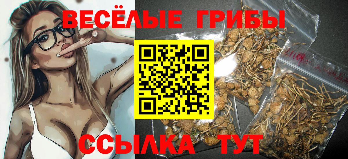Галлюциногенные грибы MAGIC MUSHROOMS  Вход с VPN  Комсомольск-на-Амуре  закладка  Галлюциногенные грибы MAGIC MUSHROOMS 